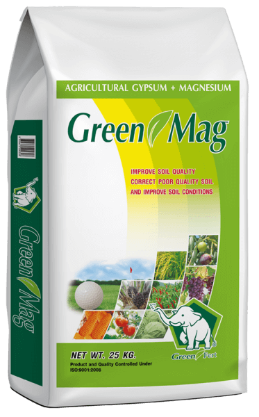 Green Mag_small